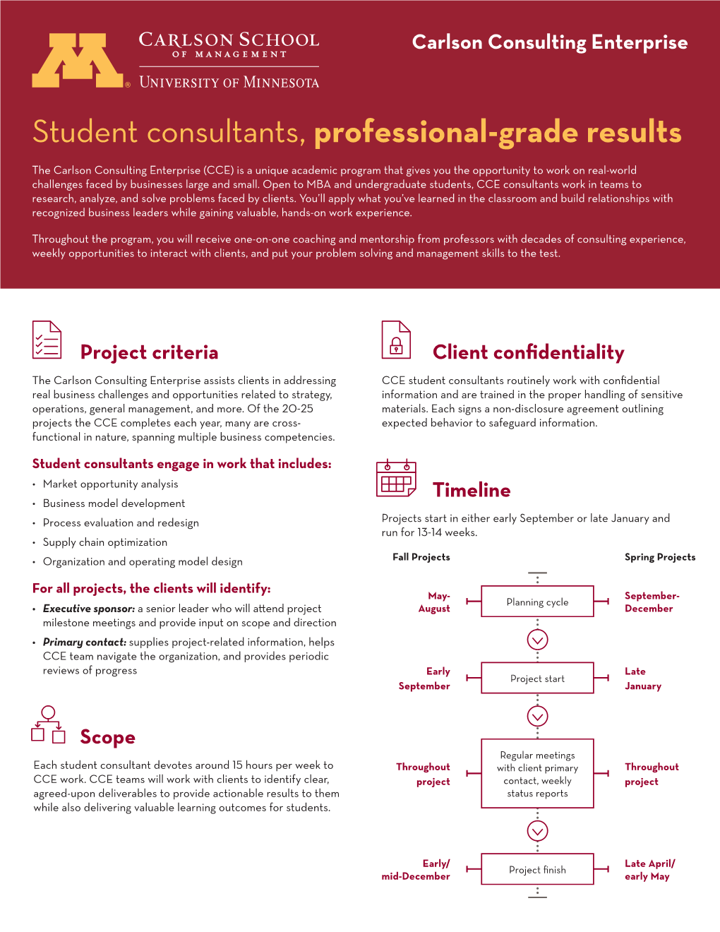 Student Consultants, Professional-Grade Results