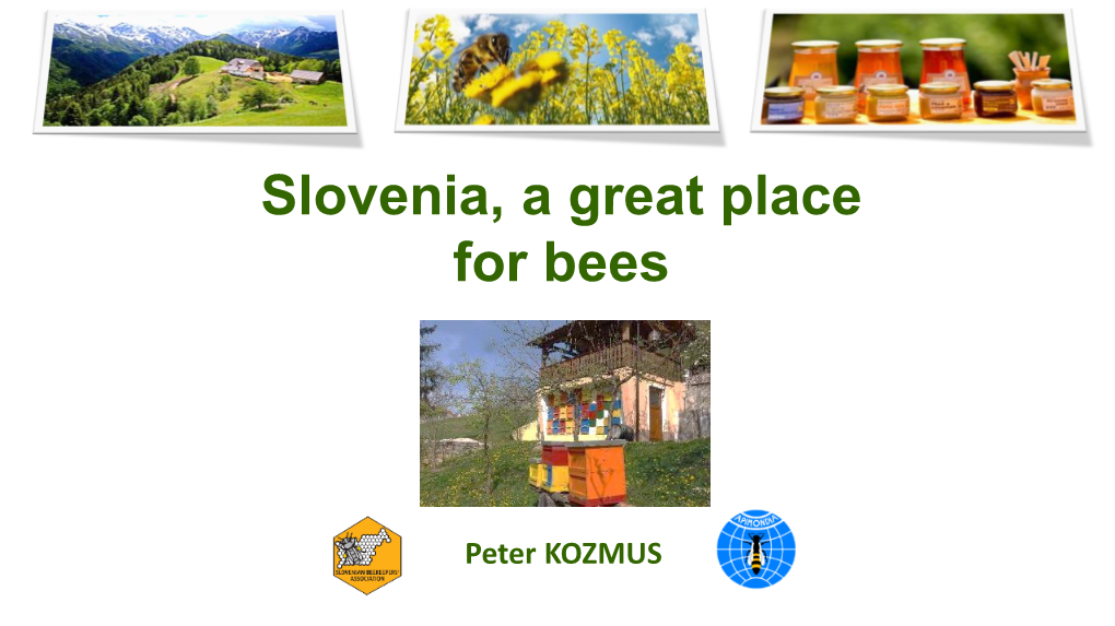 Slovenian Beekeepers´ Association (Sba)