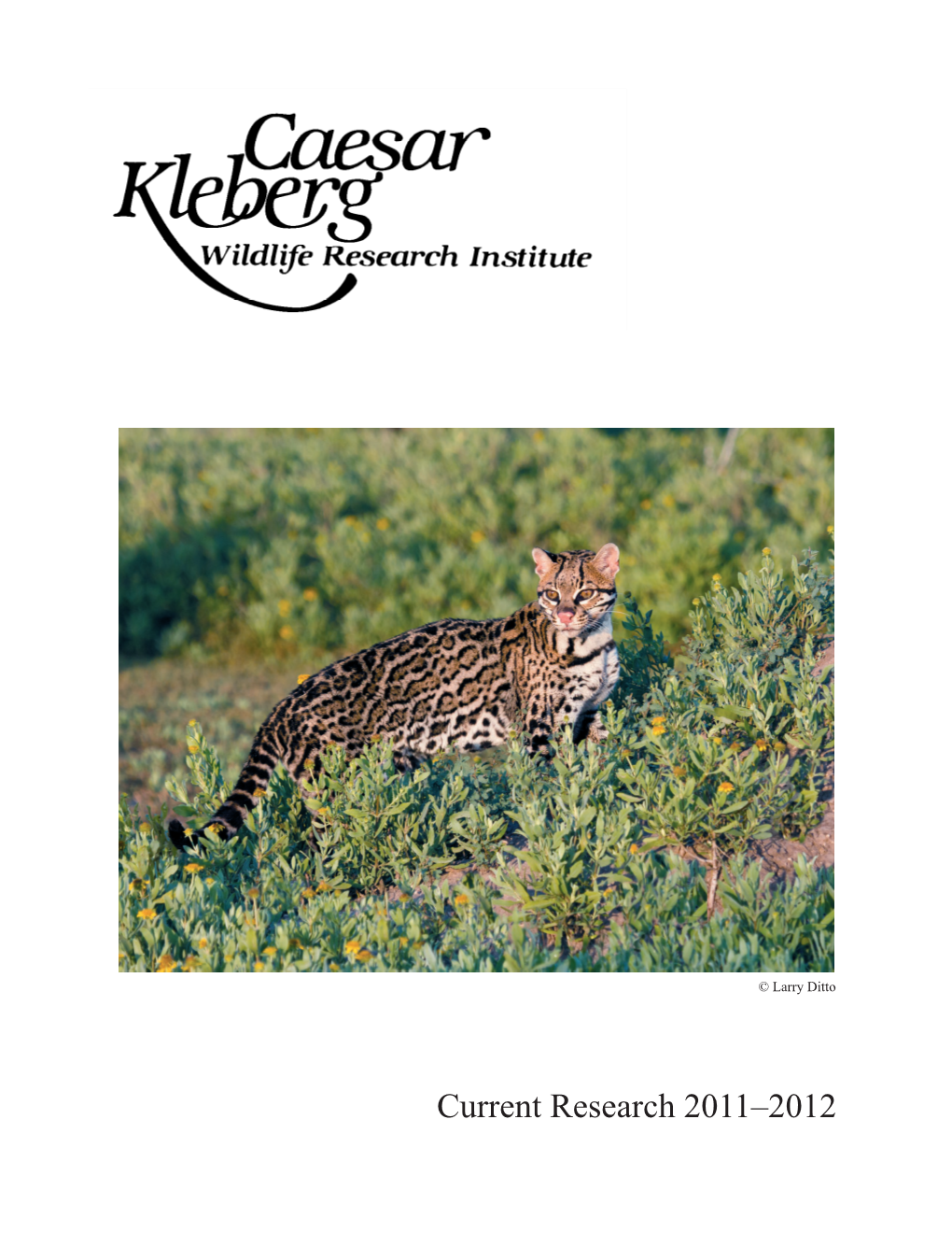 Current Research 2011–2012 This Year’S Cover Features a Photograph of an Ocelot Taken by Larry Ditto