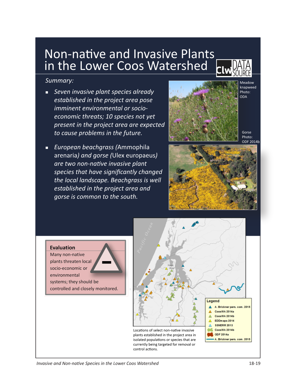 Non-Native and Invasive Plants in the Lower Coos Watershed