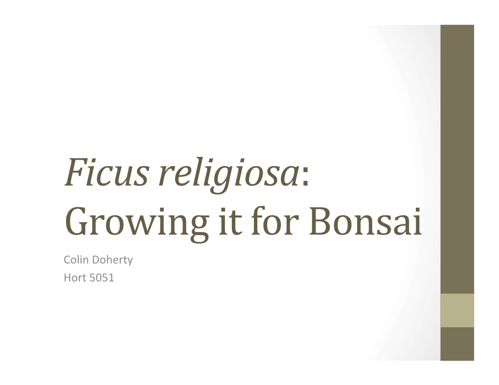 Ficus Religiosa: Growing It for Bonsai Colin Doherty Hort 5051 Bonsai: the Art