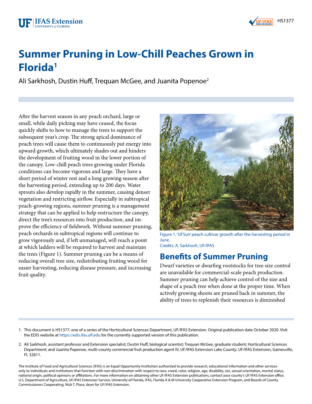 Summer Pruning in Low-Chill Peaches Grown in Florida1 Ali Sarkhosh, Dustin Huff, Trequan Mcgee, and Juanita Popenoe2