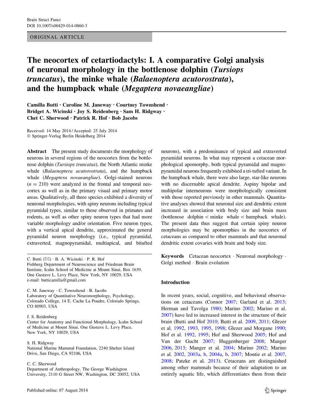 The Neocortex of Cetartiodactyls: I. a Comparative