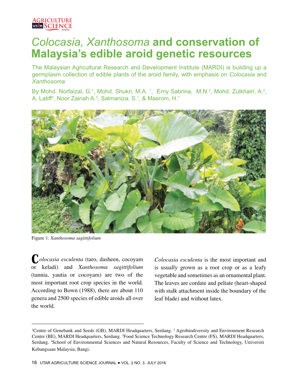 Colocasia, Xanthosoma and Conservation of Malaysia's Edible