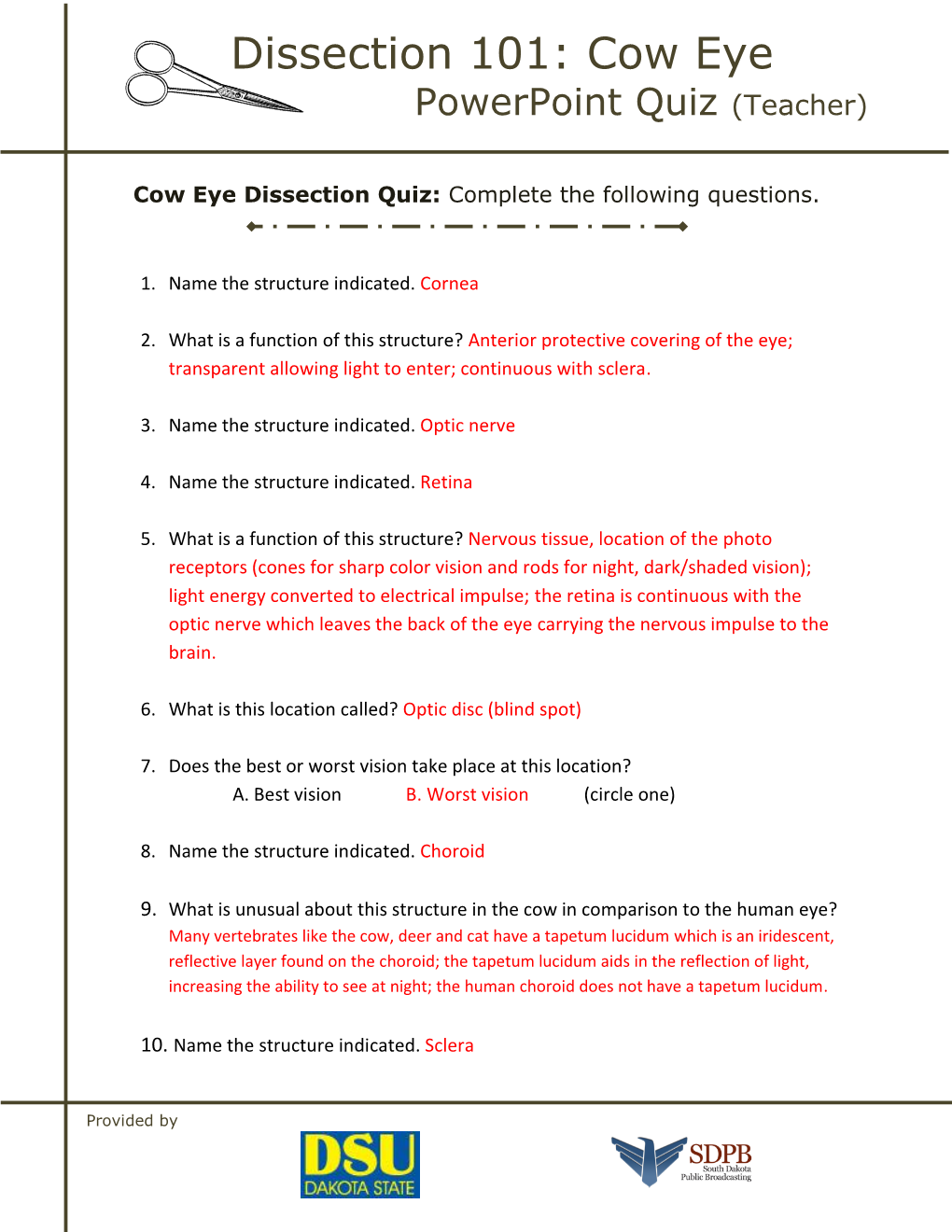 Cow Eye Powerpoint Quiz (Teacher)