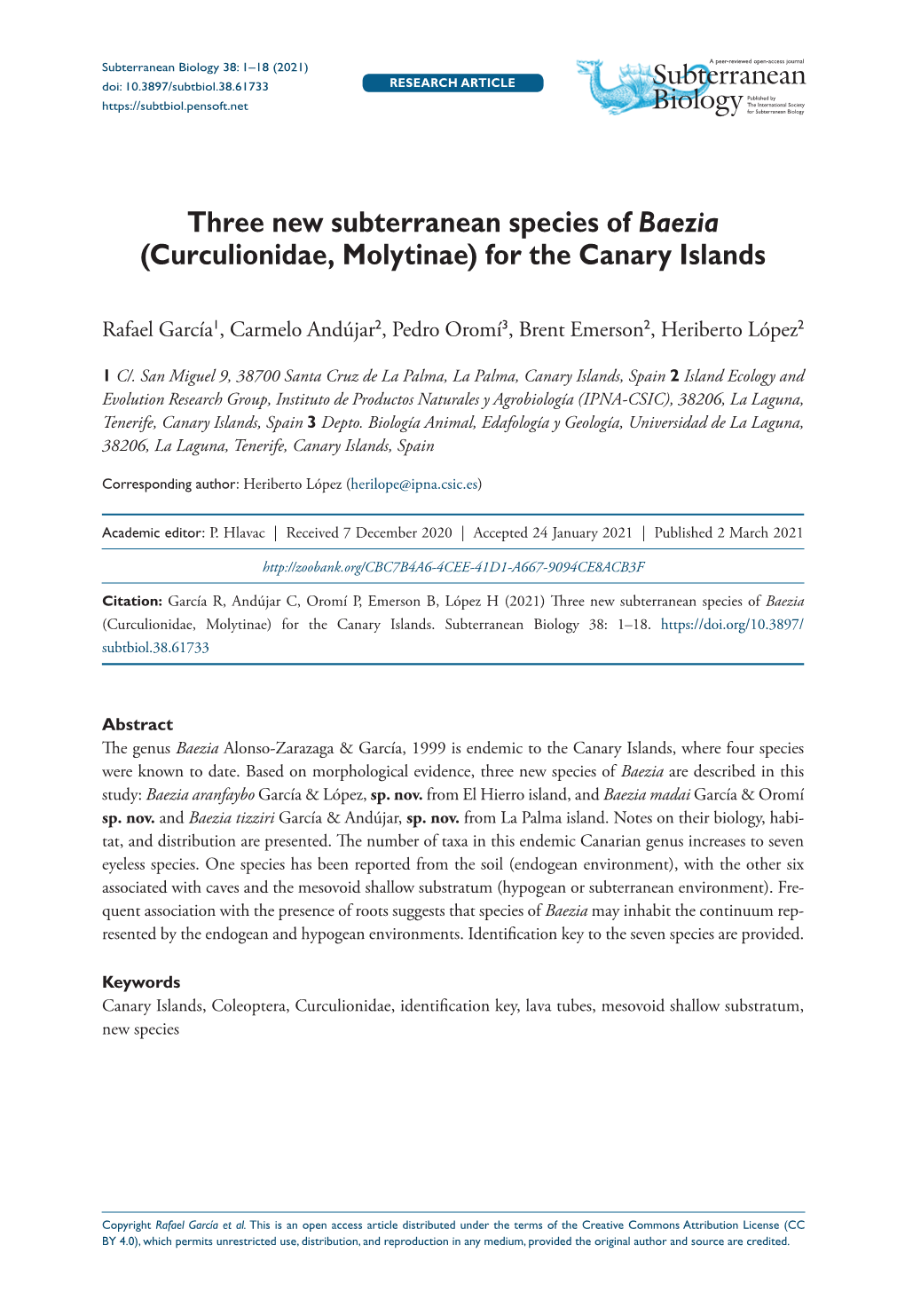 Three New Subterranean Species of Baezia (Curculionidae, Molytinae) for the Canary Islands