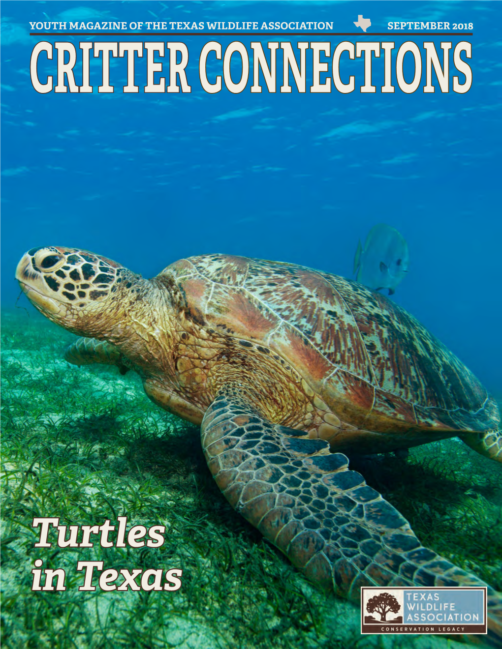 Turtles in Texas American White Water-Lily