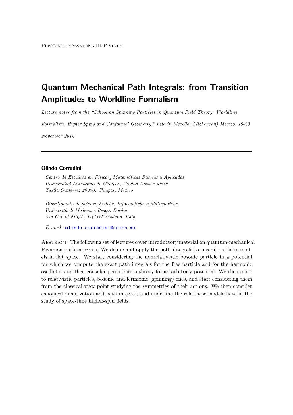 Quantum Mechanical Path Integrals: from Transition Amplitudes to Worldline Formalism