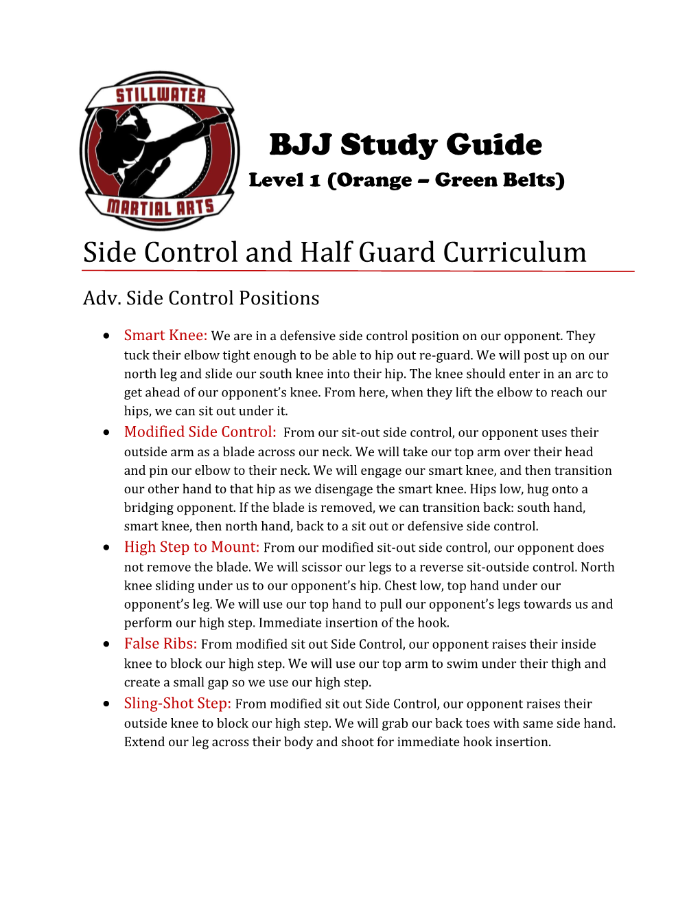 BJJ Study Guide Level 1 (Orange – Green Belts)