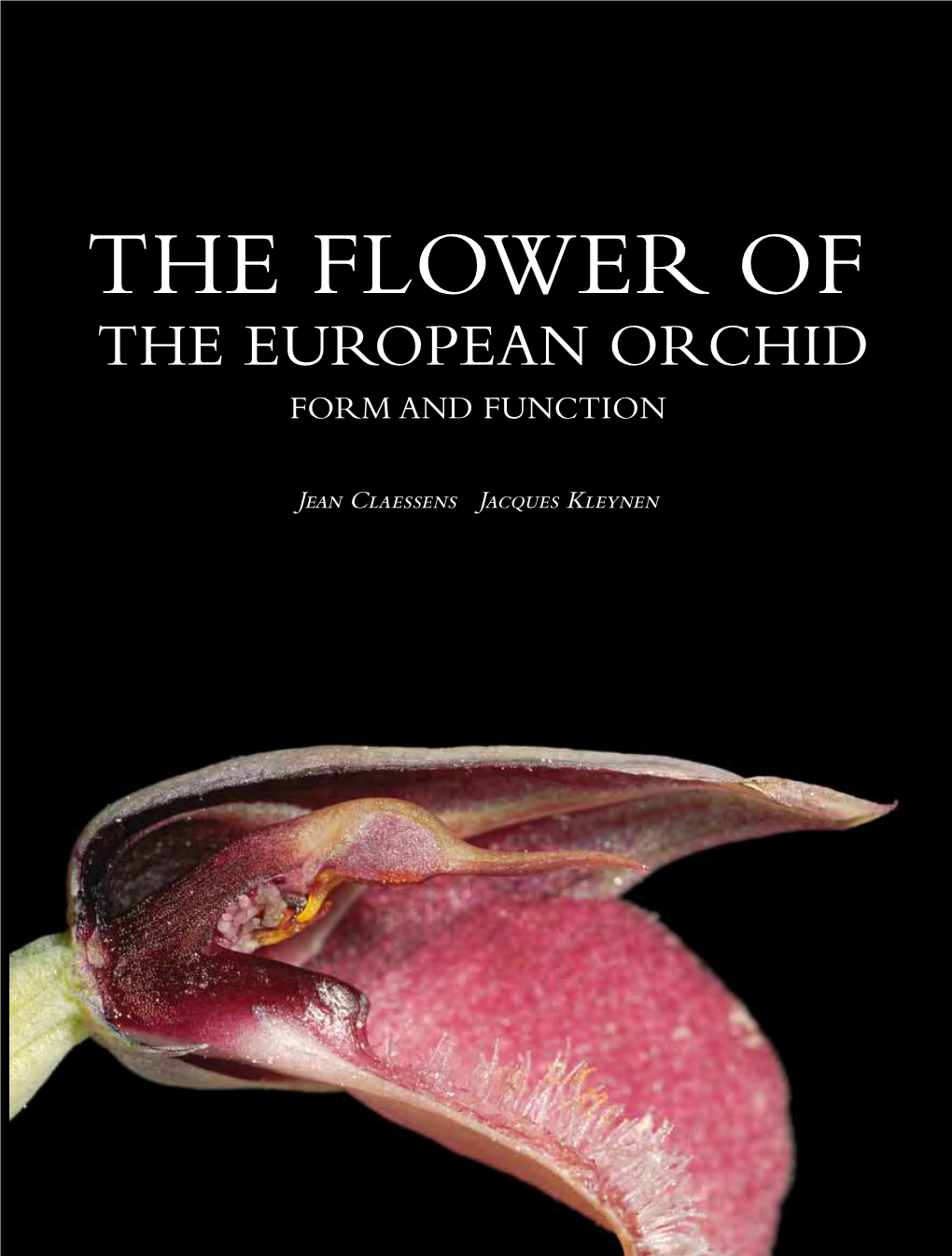 The Flower of the European Orchid Form and Function Function Form and of European Orchid Flower the The