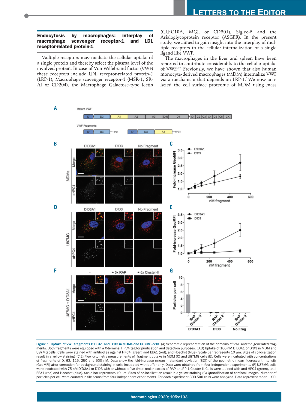 Interplay of Macrophage Scavenger Receptor-1 and LDL Receptor-Related Protein-1