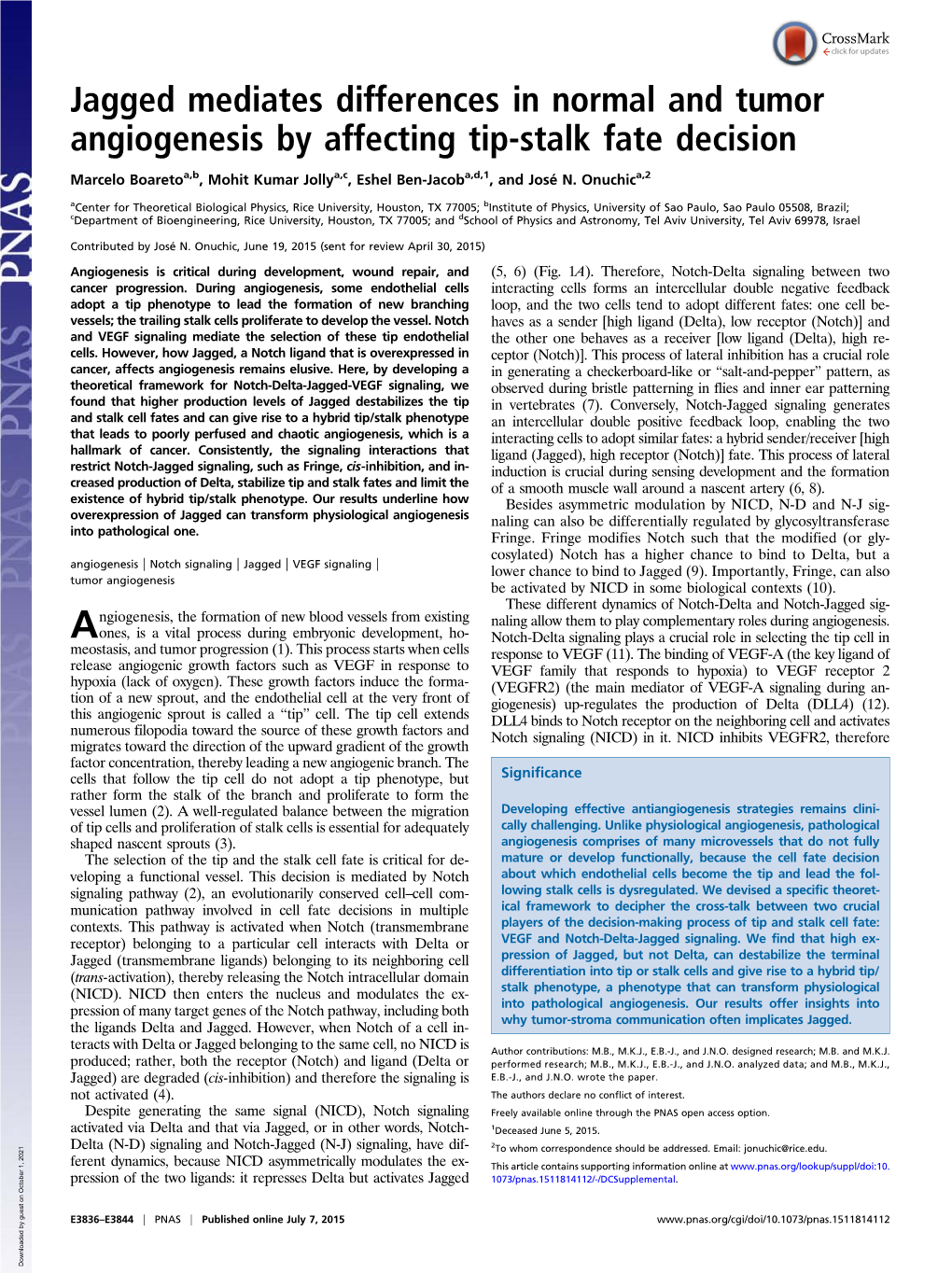 Jagged Mediates Differences in Normal and Tumor Angiogenesis by Affecting Tip-Stalk Fate Decision