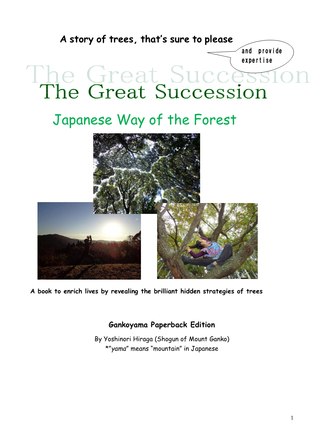 Japanese Way of the Forest