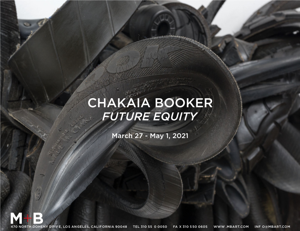 Chakaia Booker Future Equity