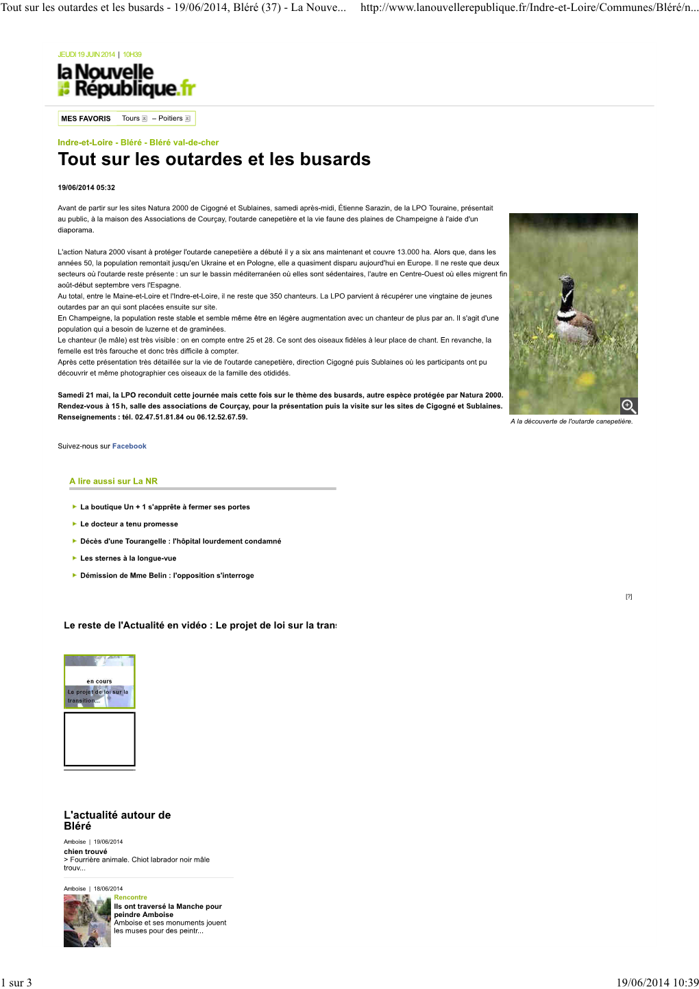 Tout Sur Les Outardes Et Les Busards - 19/06/2014, Bléré (37) - La Nouve