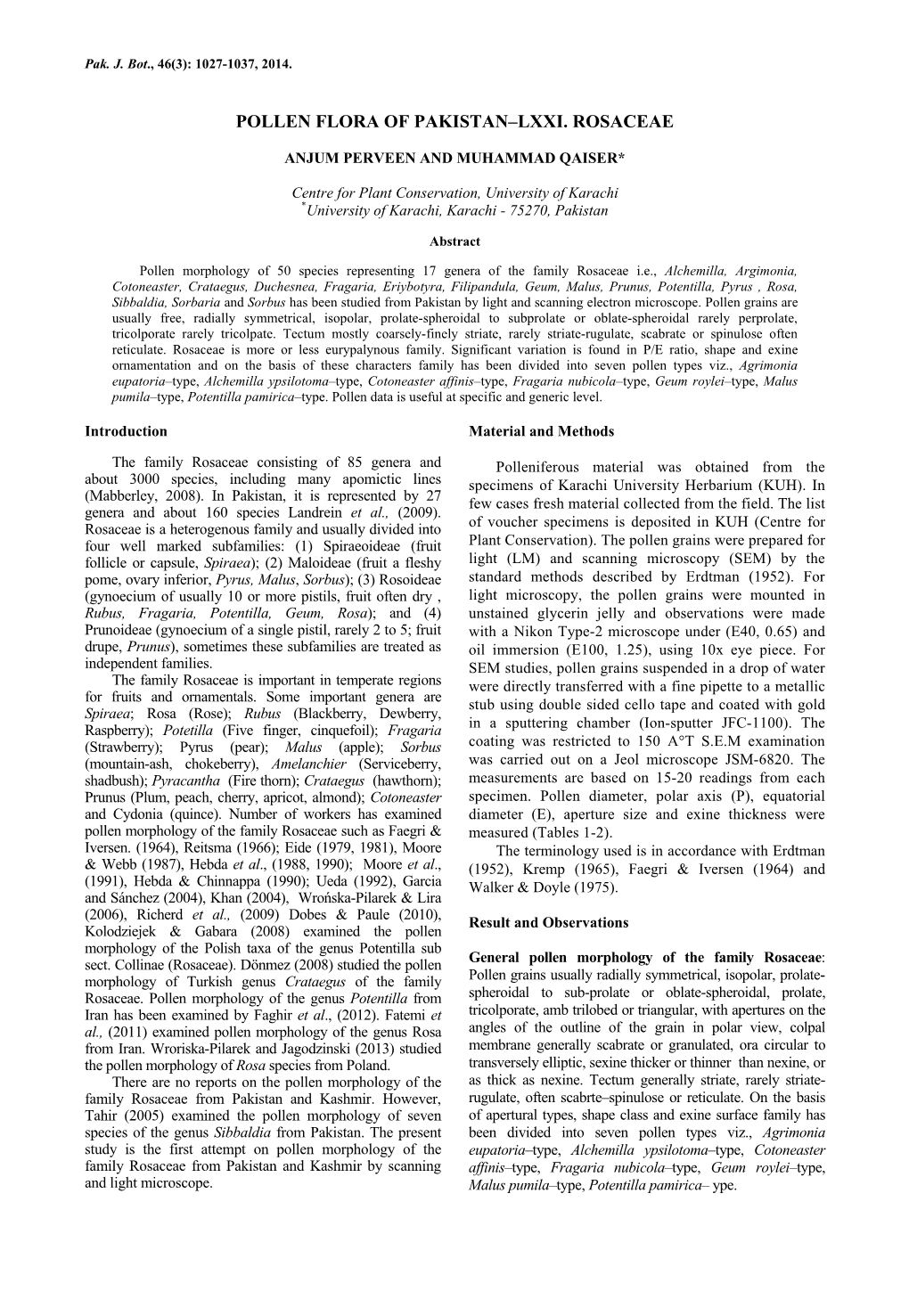 Pollen Flora of Pakistan–Lxxi. Rosaceae