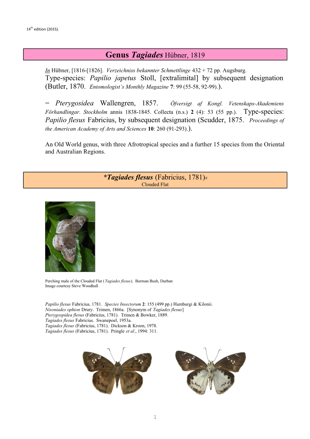 349 Genus Tagiades Huebner