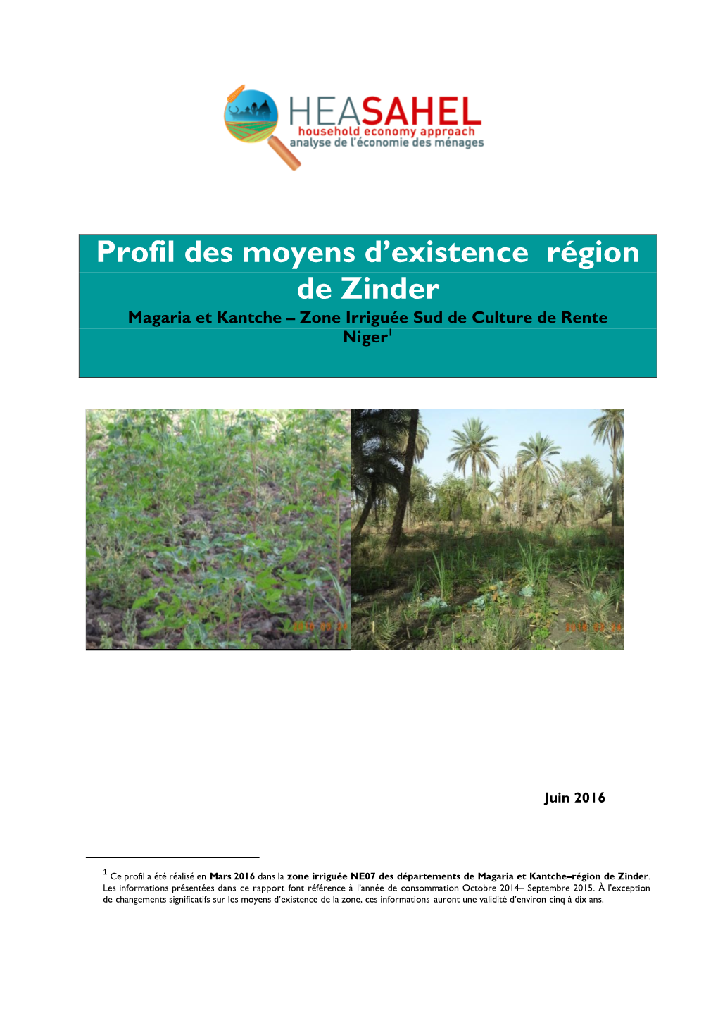 Profil Des Moyens D'existence Région De Zinder