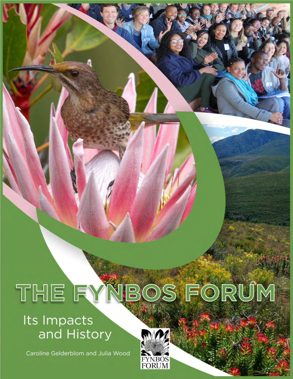 FYNBOS FORUM of the 1990S