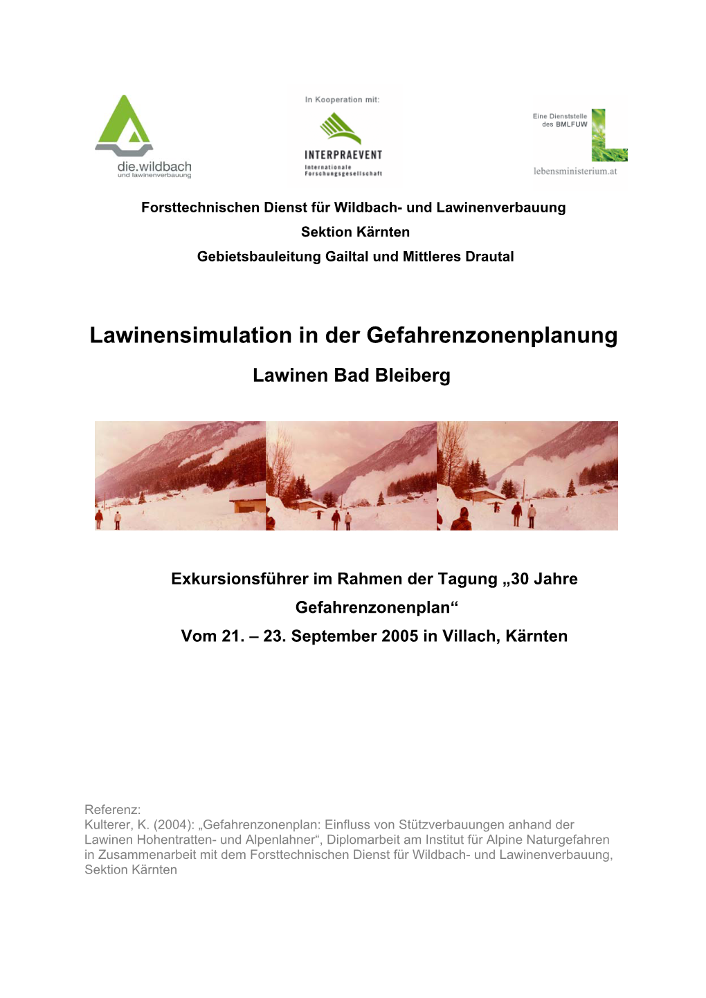 Lawinensimulation in Der Gefahrenzonenplanung Lawinen