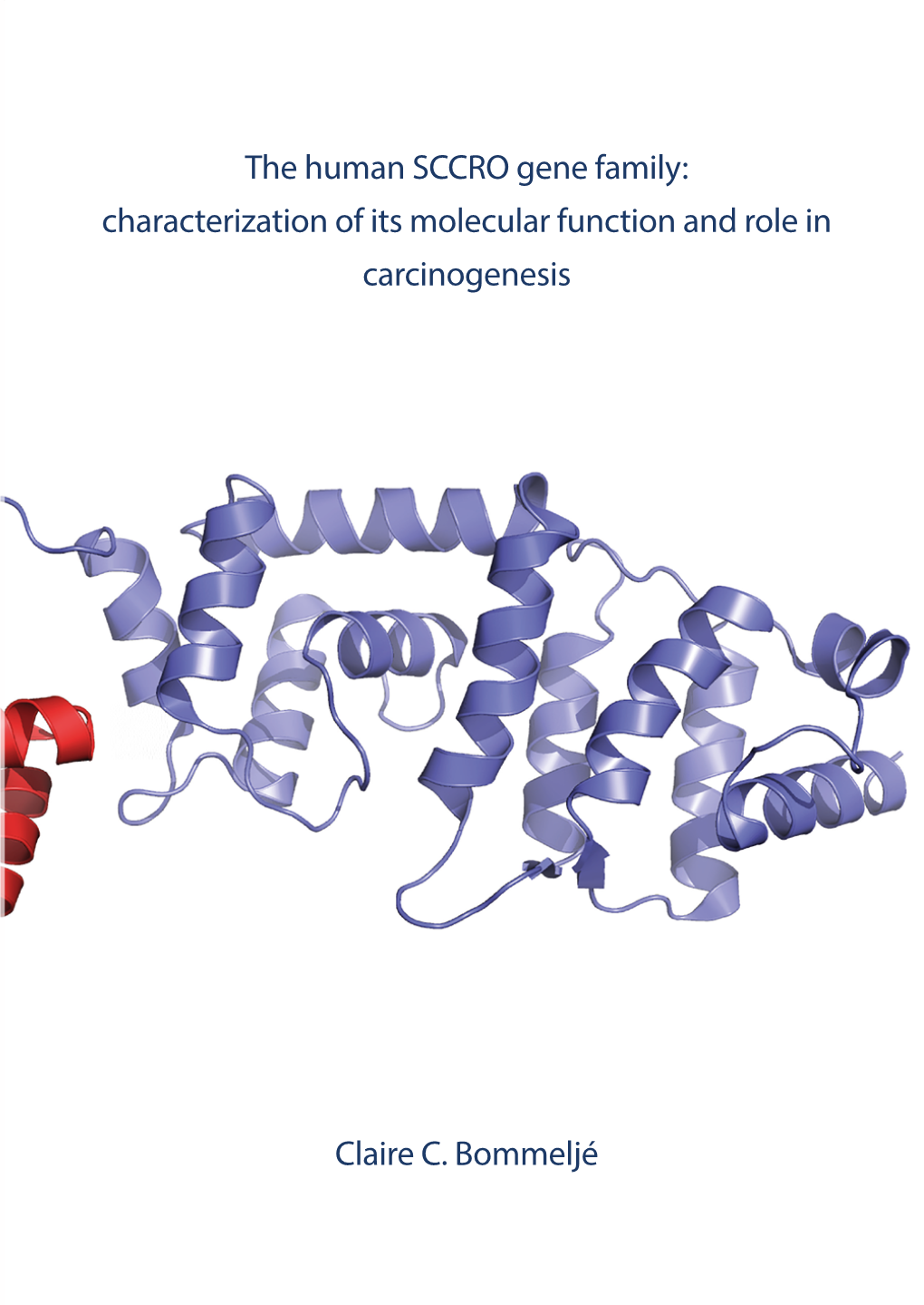 The Human SCCRO Gene Family: Characterization of Its Molecular