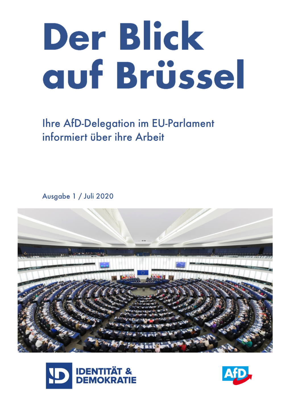 Ihre Afd-Delegation Im EU-Parlament Informiert Über Ihre Arbeit
