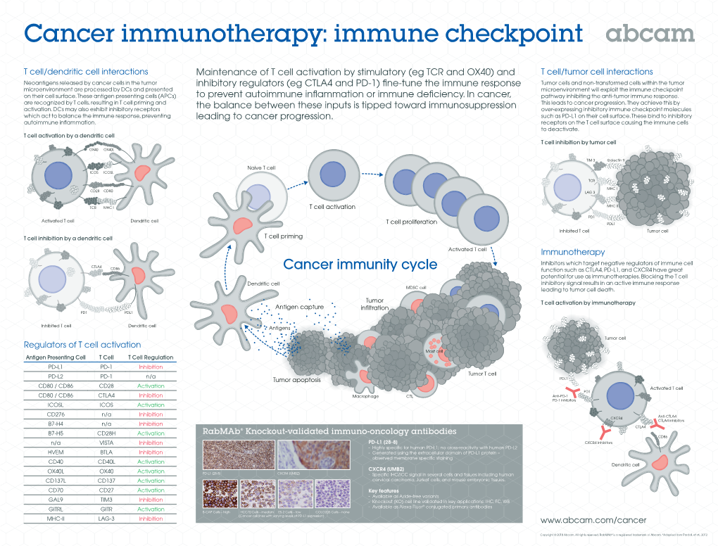 Cancer Immunotherapy: Immune Checkpoint