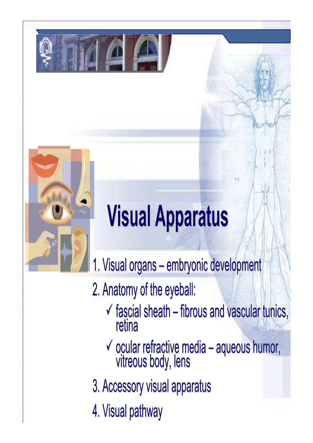 The Eyeball:  Fascial Sheath – Fibrous and Vascular Tunics, Retina  Ocular Refractive Media – Aqueous Humor, Vitreous Body, Lens 3