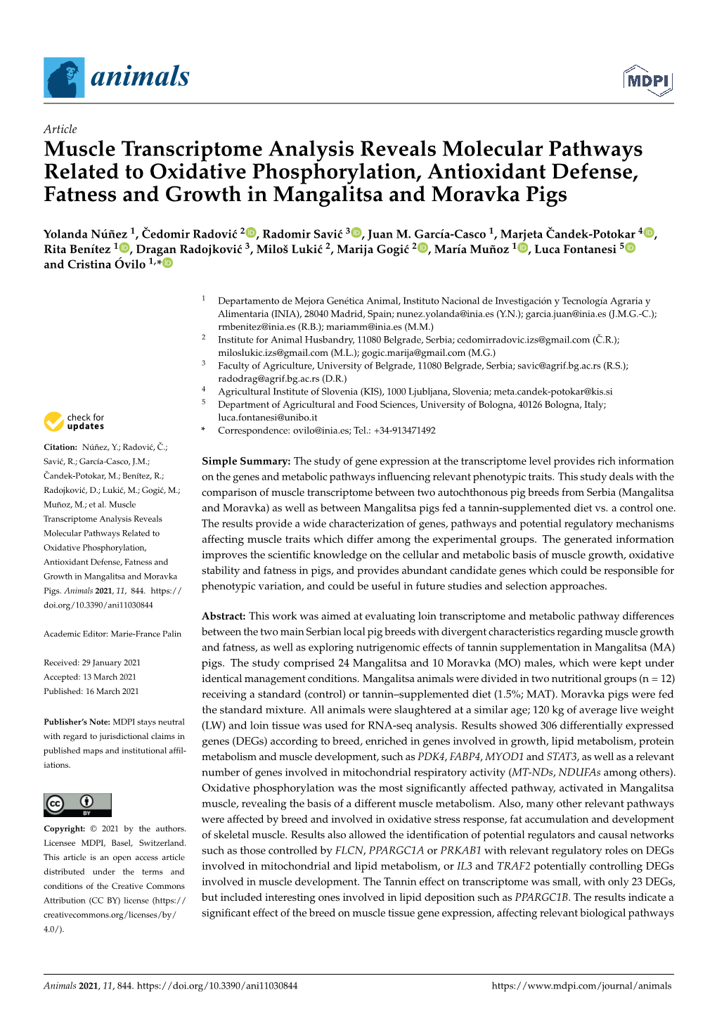 Muscle Transcriptome Analysis Reveals Molecular Pathways Related to Oxidative Phosphorylation, Antioxidant Defense, Fatness and Growth in Mangalitsa and Moravka Pigs