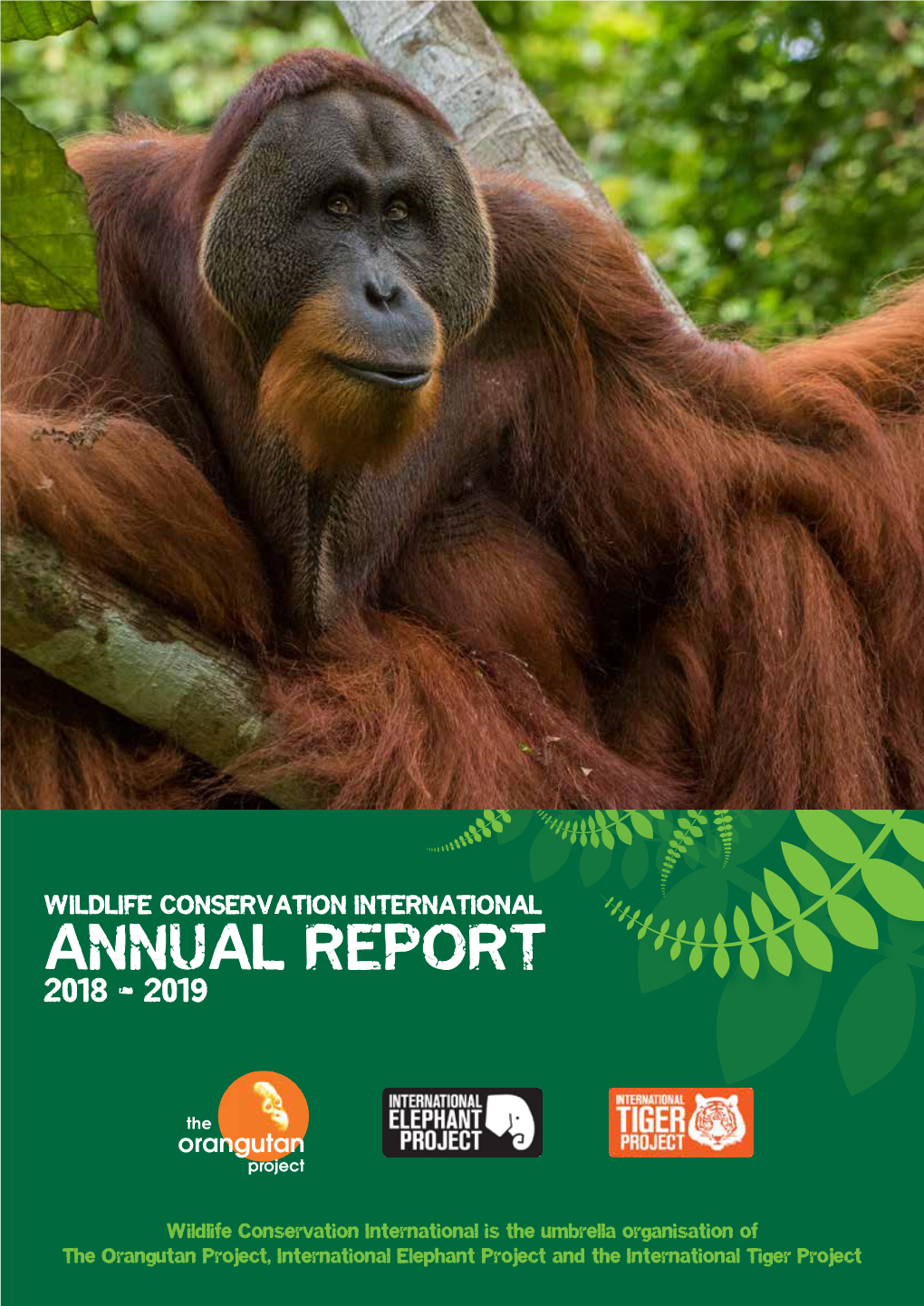 Annual Report 2018 - 2019