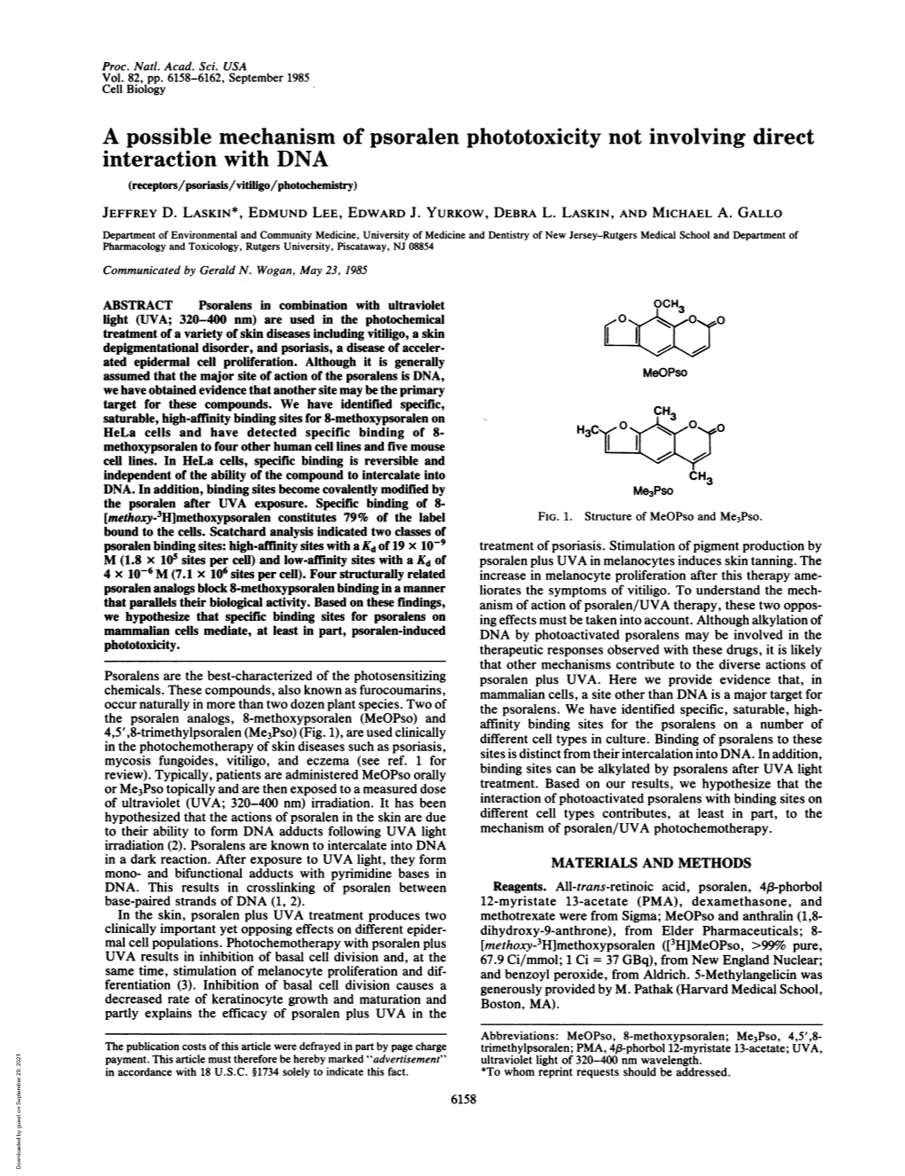 A Possible Mechanism of Psoralen Phototoxicity Not Involving Direct Interaction with DNA (Receptors/Psoriasis/Vitiligo/Photocheniistry) JEFFREY D