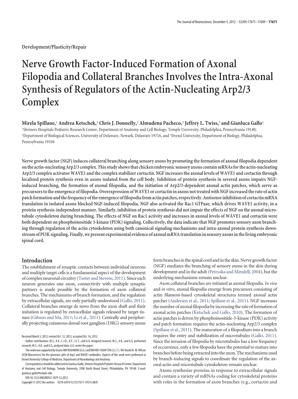 Nerve Growth Factor-Induced Formation of Axonal Filopodia and Collateral Branches Involves the Intra-Axonal Synthesis of Regulat