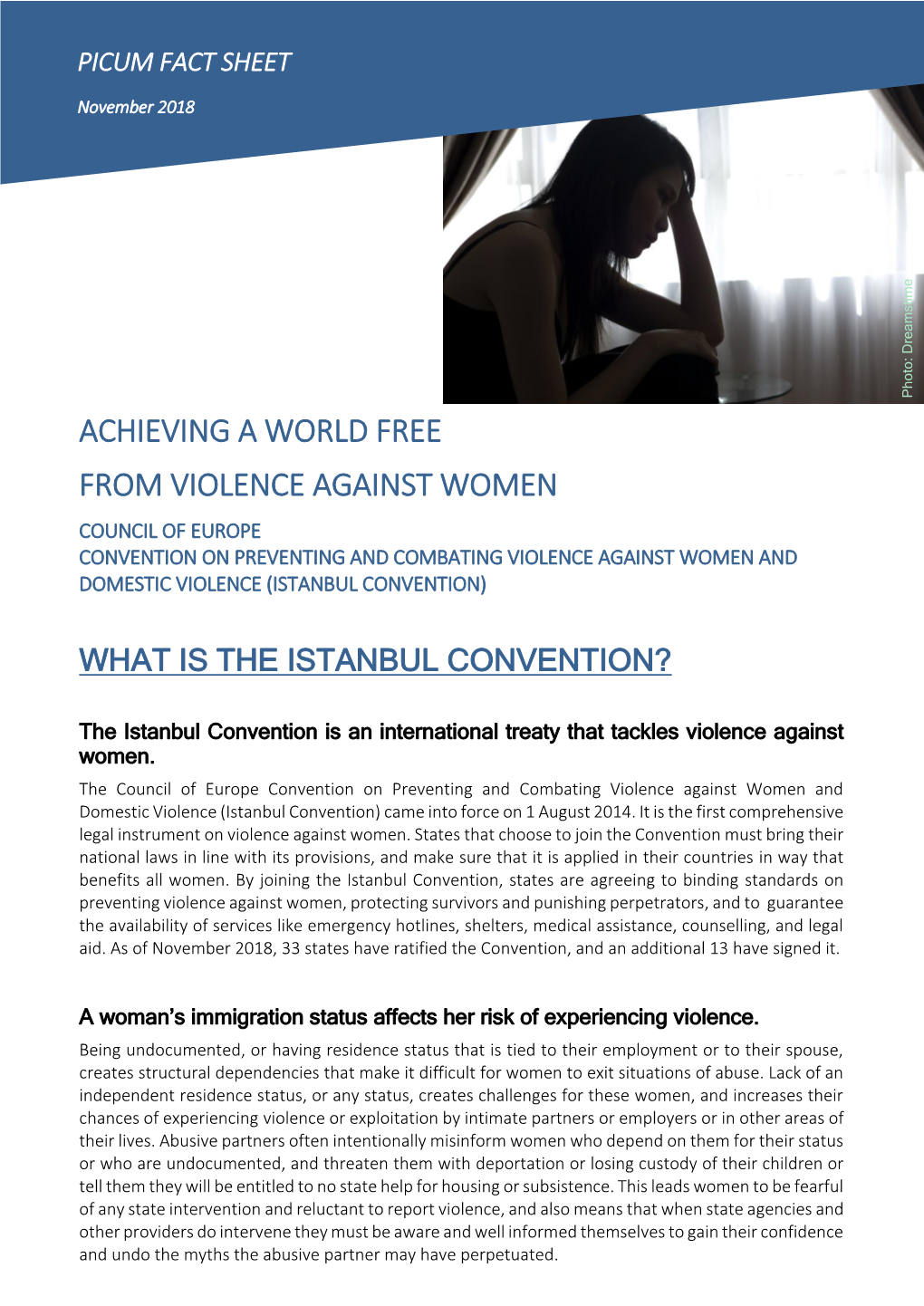 Achieving a World Free from Violence Against Women