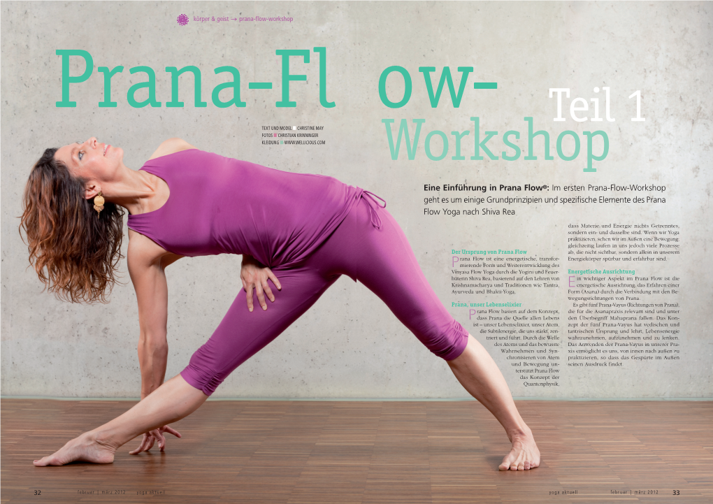 Eine Einführung in Prana Flow®: Im Ersten Prana-Flow-Workshop Geht Es Um Einige Grundprinzipien Und Spezifische Elemente Des Prana Flow Yoga Nach Shiva Rea