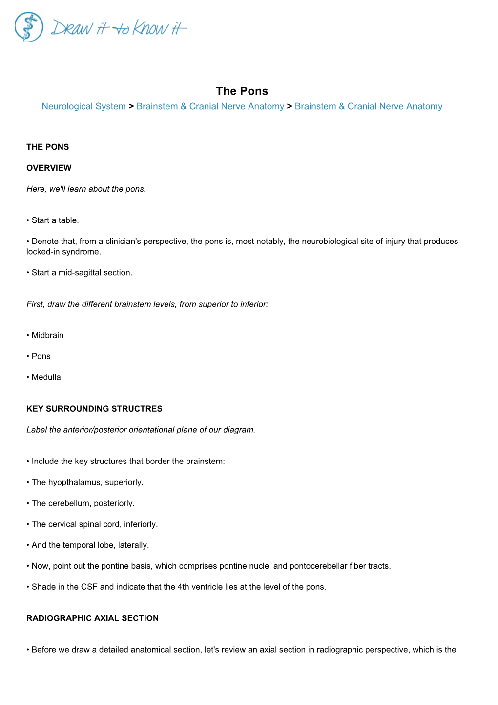 The Pons Neurological System > Brainstem & Cranial Nerve Anatomy > Brainstem & Cranial Nerve Anatomy