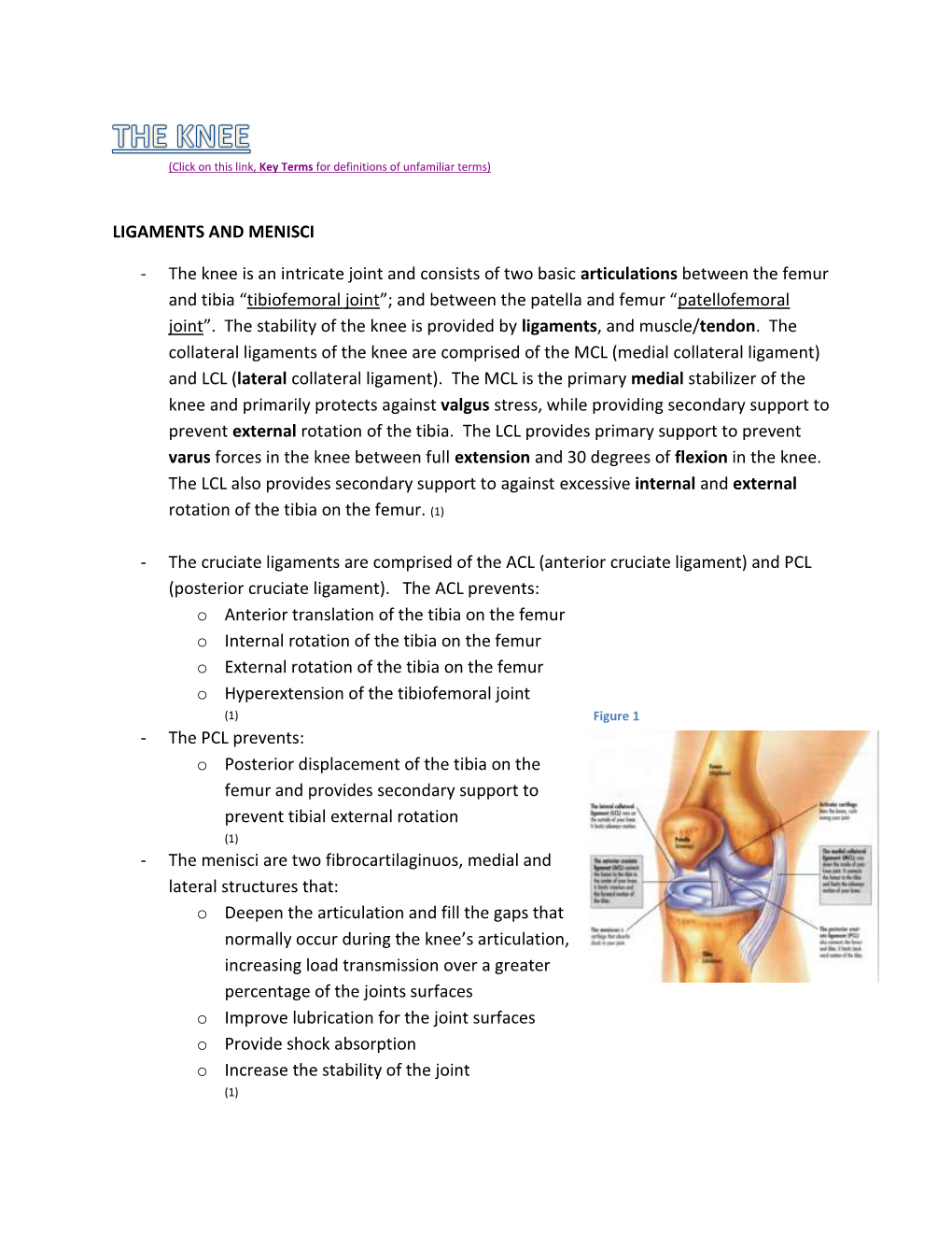 Ligaments and Menisci