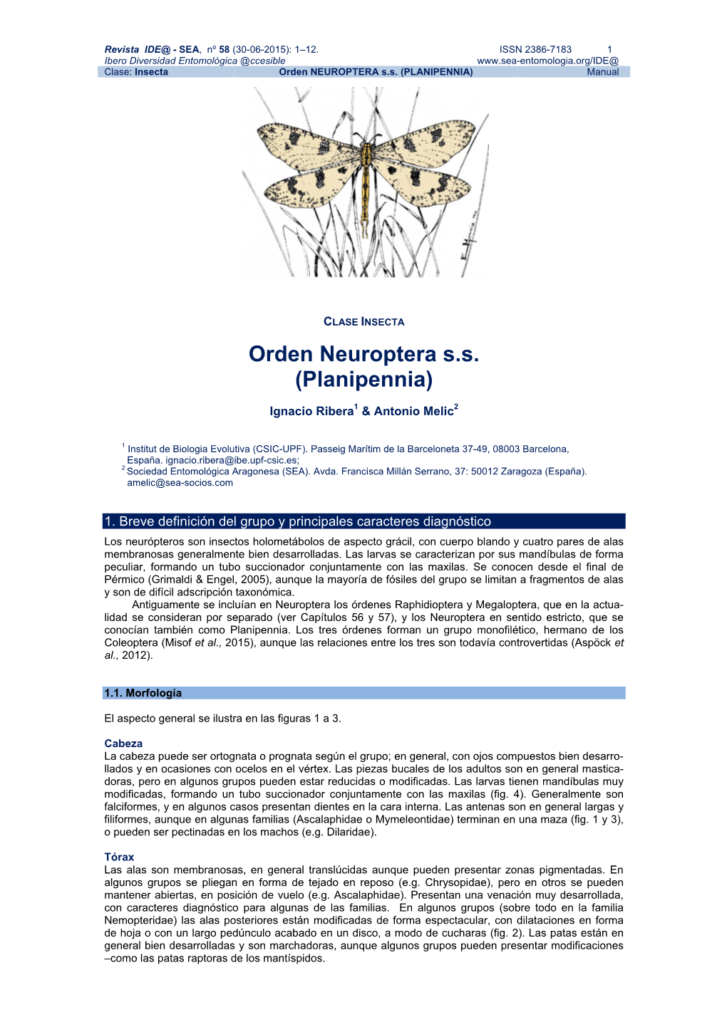 Orden NEUROPTERA S.S. (PLANIPENNIA) Manual