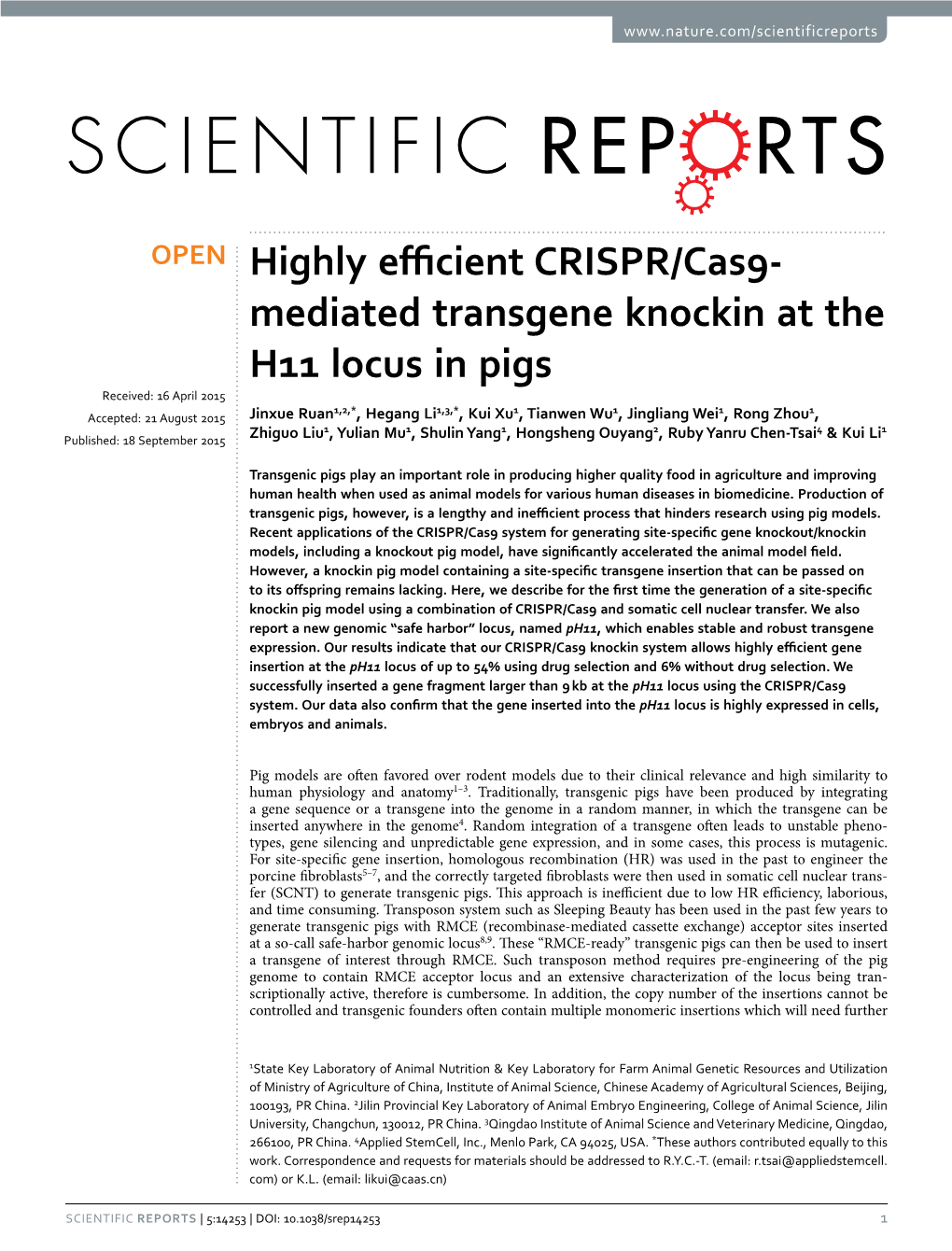 Mediated Transgene Knockin at the H11 Locus in Pigs