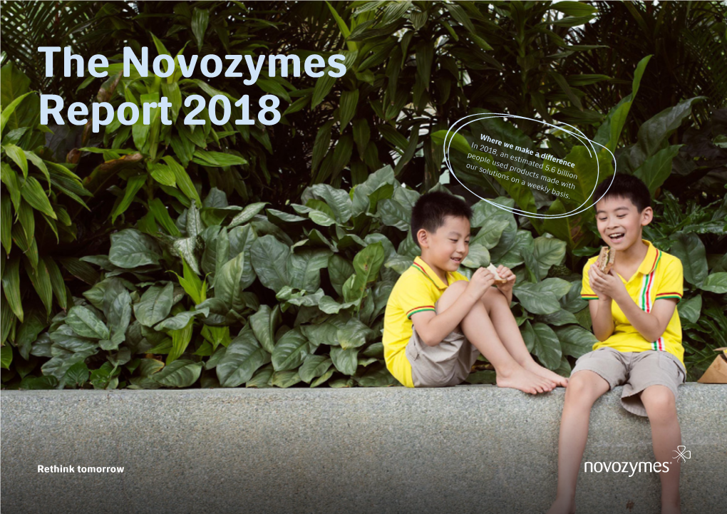 The Novozymes Report 2018 PDF, 8 MB