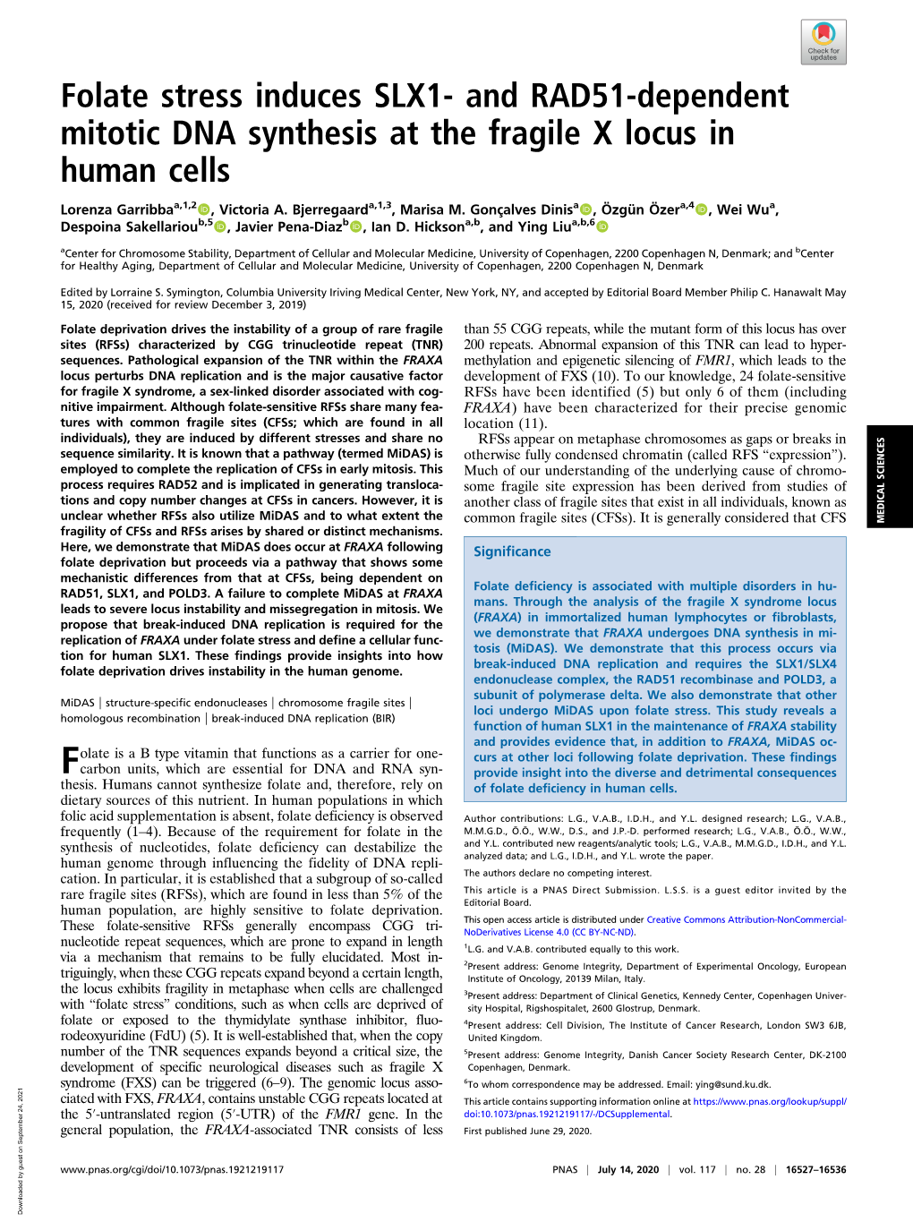 And RAD51-Dependent Mitotic DNA Synthesis at the Fragile X Locus in Human Cells