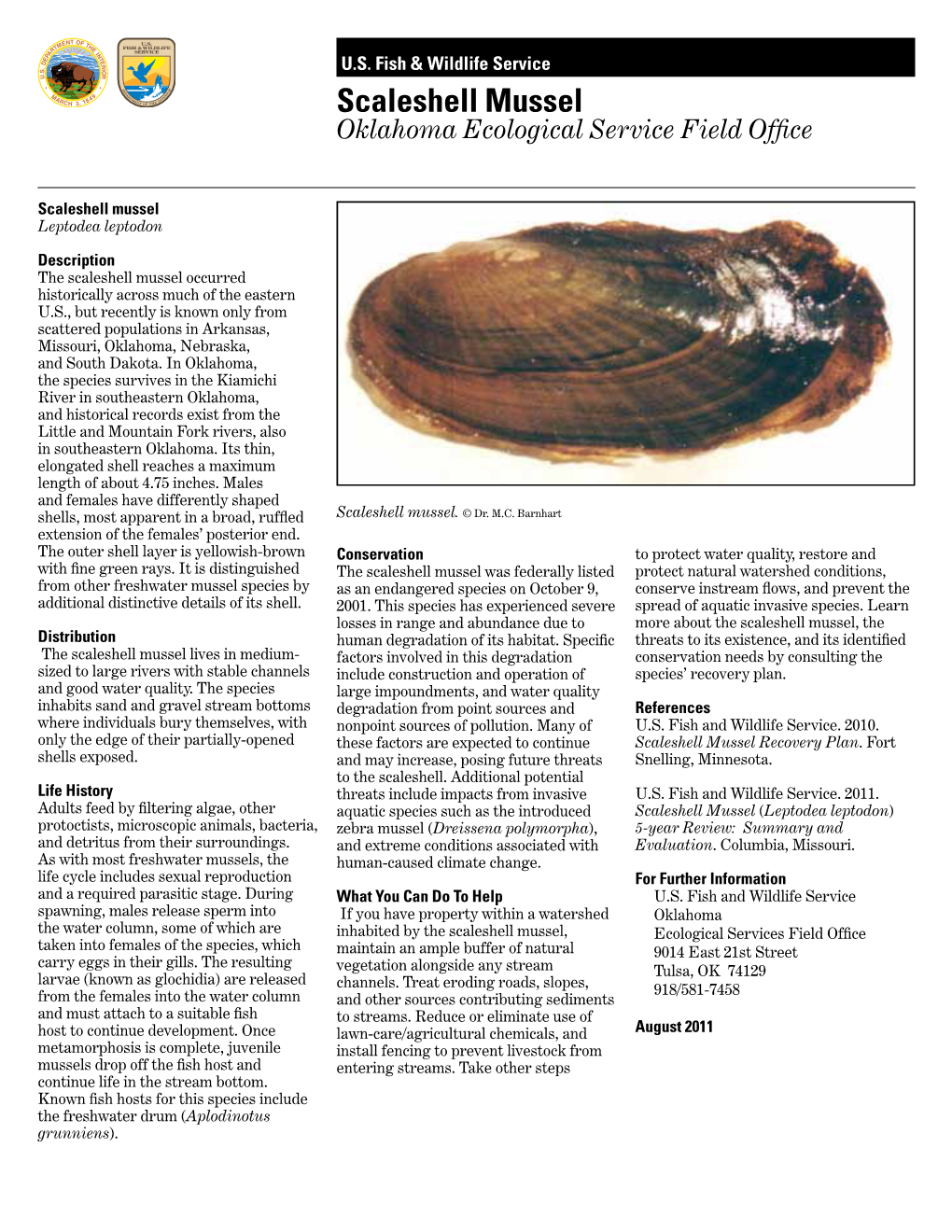 Scaleshell Mussel.Pdf