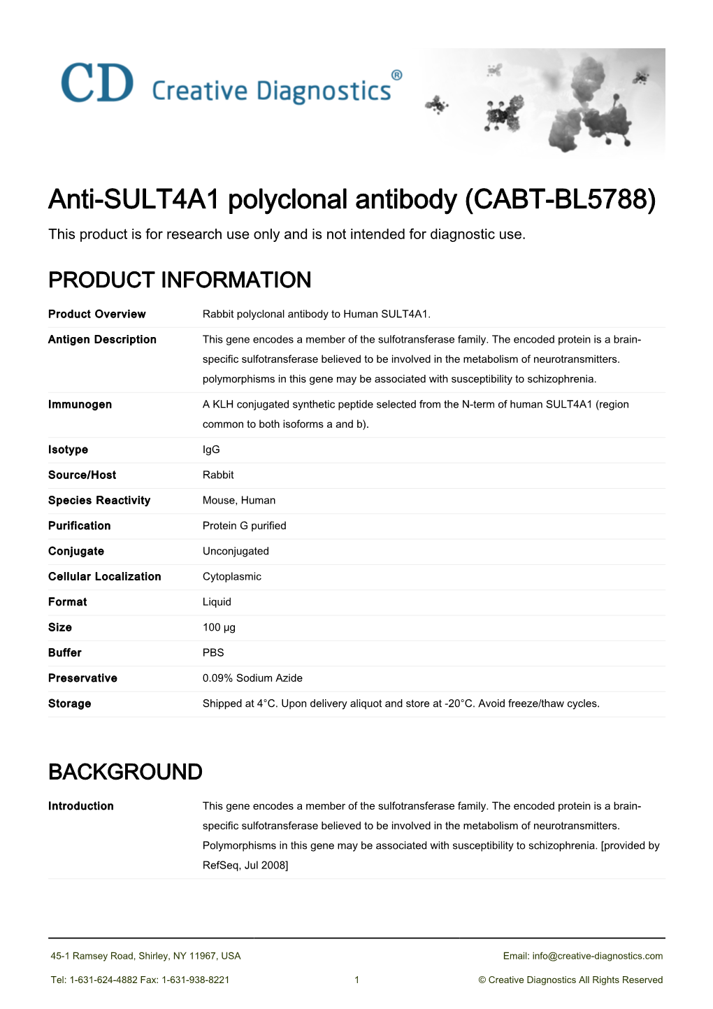Anti-SULT4A1 Polyclonal Antibody (CABT-BL5788) This Product Is for Research Use Only and Is Not Intended for Diagnostic Use