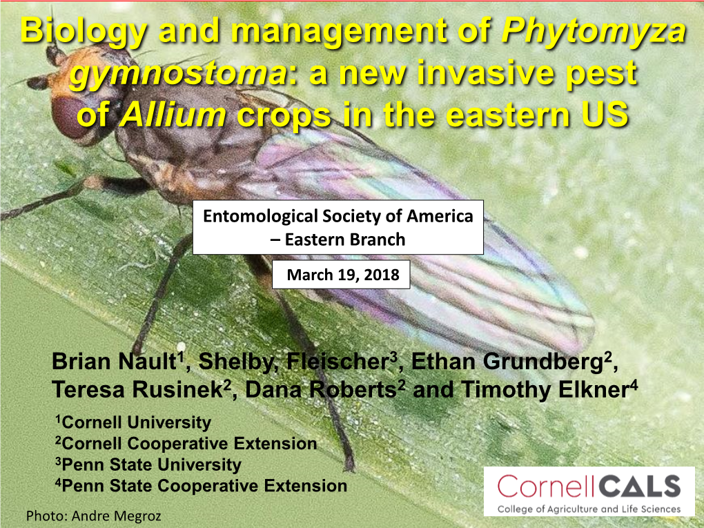 Biology and Management of Phytomyza Gymnostoma: a New Invasive Pest of Allium Crops in the Eastern US