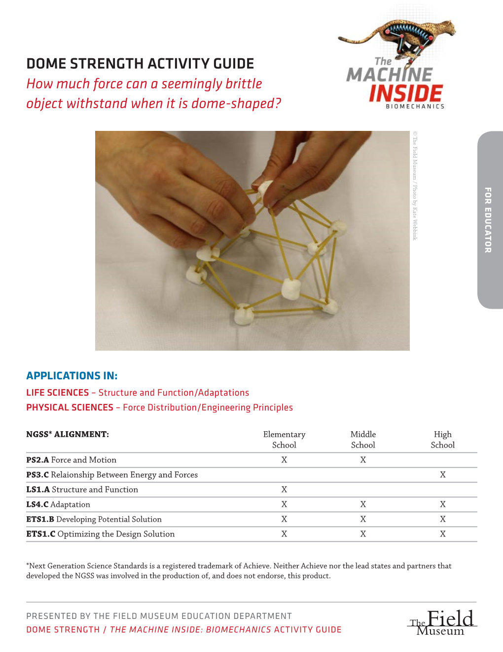 Dome Strength Activity Guide