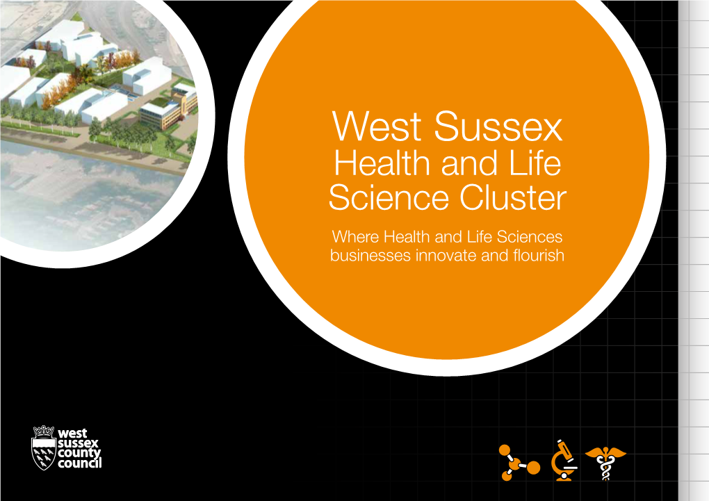 West Sussex Health and Life Science Cluster Where Health and Life Sciences Businesses Innovate and Flourish Contents Where Innovation, Investment