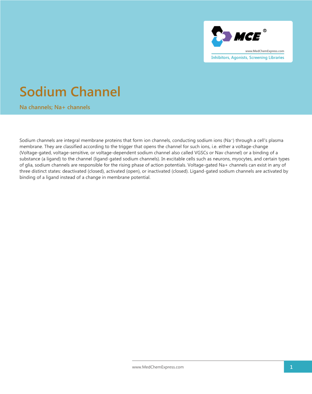 Sodium Channel Na Channels; Na+ Channels