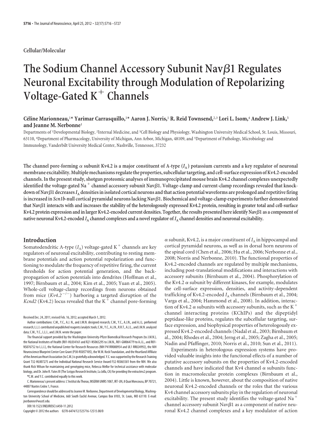 The Sodium Channel Accessory Subunit Nav 1 Regulates Neuronal