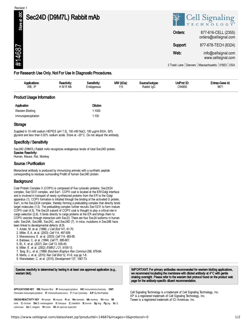 14687 Sec24d (D9M7L) Rabbit Mab