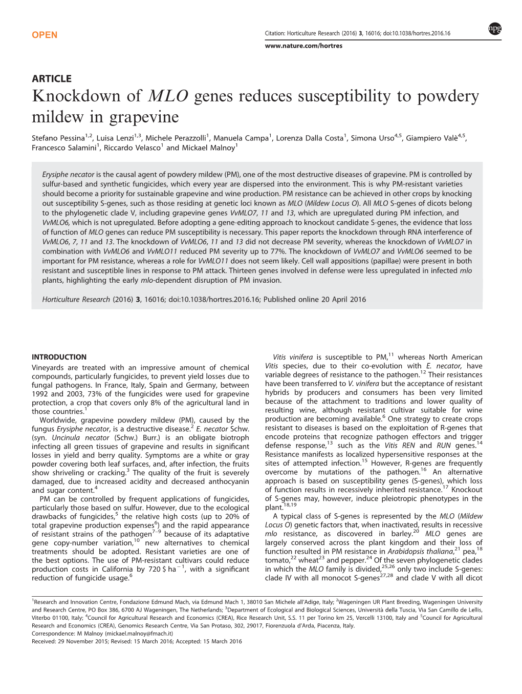 Knockdown of MLO Genes Reduces Susceptibility to Powdery Mildew in Grapevine