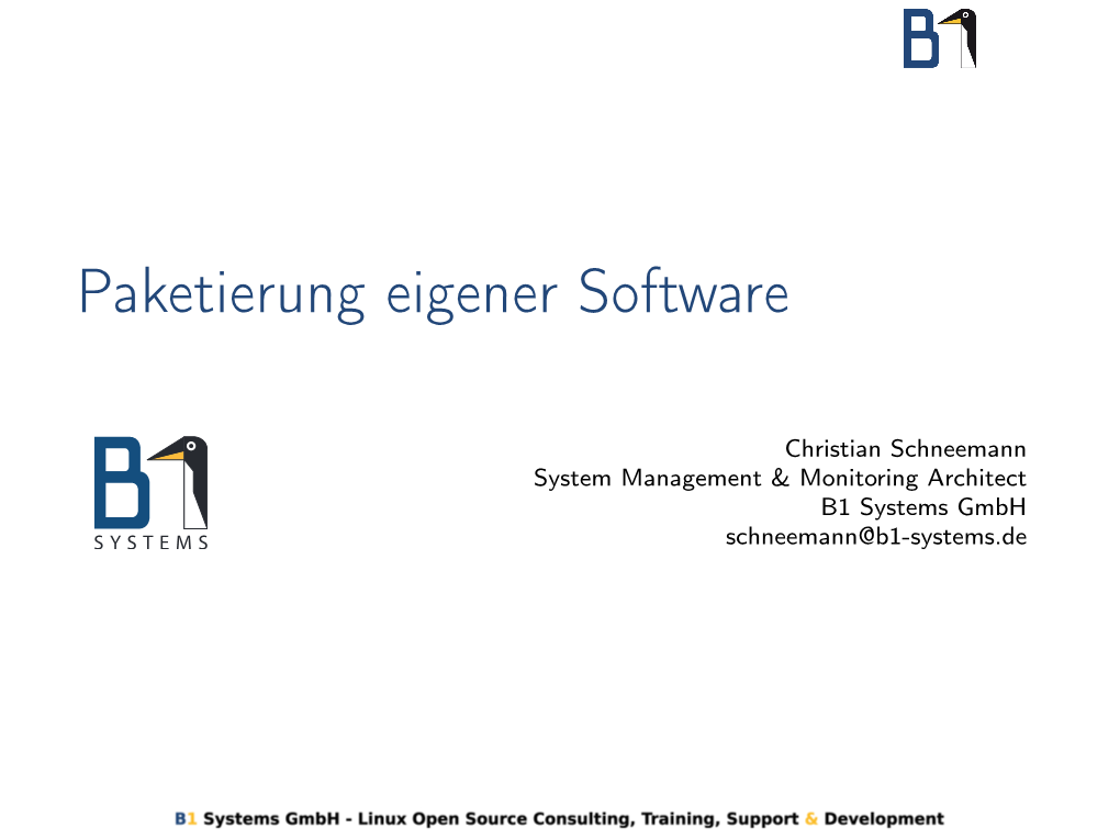 Paketierung Eigener Software